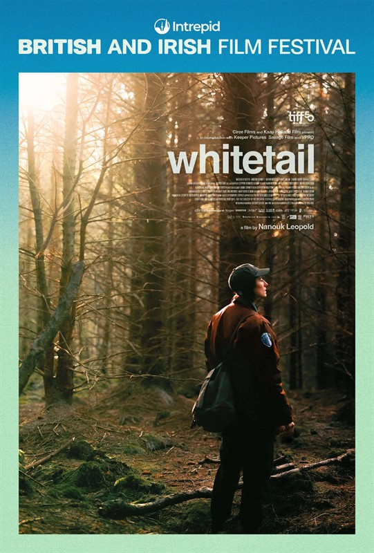 BIFF: Whitetail #1