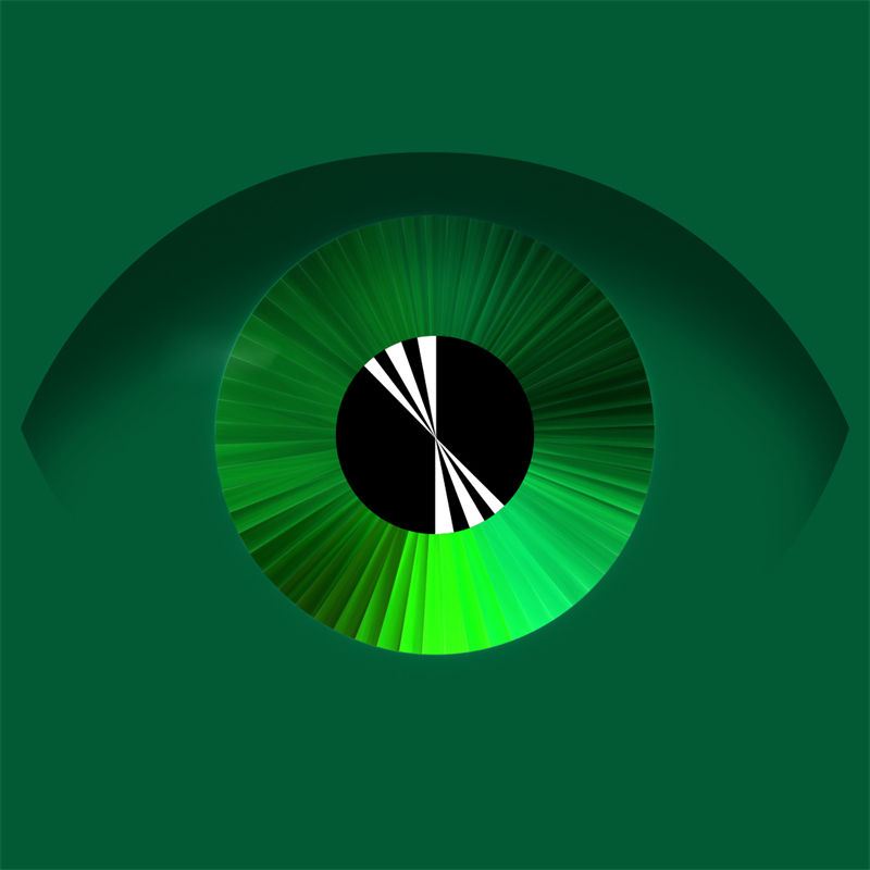 NZIFF: Nga Whanaunga Aotearoa: Best 2026 #1